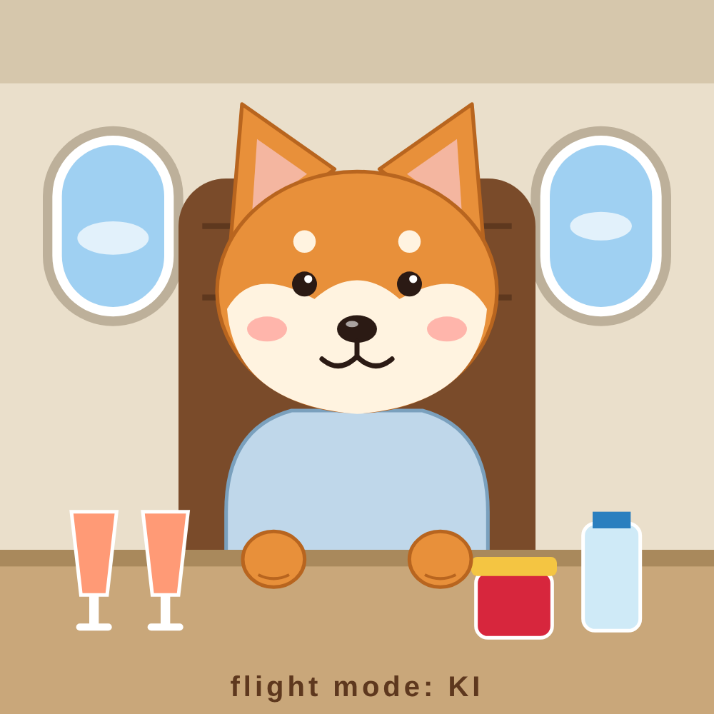 Ki seated in a private jet with two glasses of pink champagne